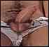 cock0017.jpg