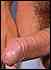 cock0034.jpg