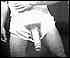 cock0041.jpg