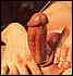 cock0046.jpg