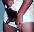 cock0052.jpg