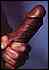 cock0058.jpg