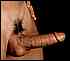 cock0080.jpg