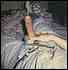 cock0082.jpg