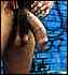 cock0093.jpg