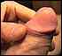 cock0111.jpg