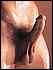 cock0186.jpg