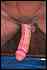 cock24.jpg